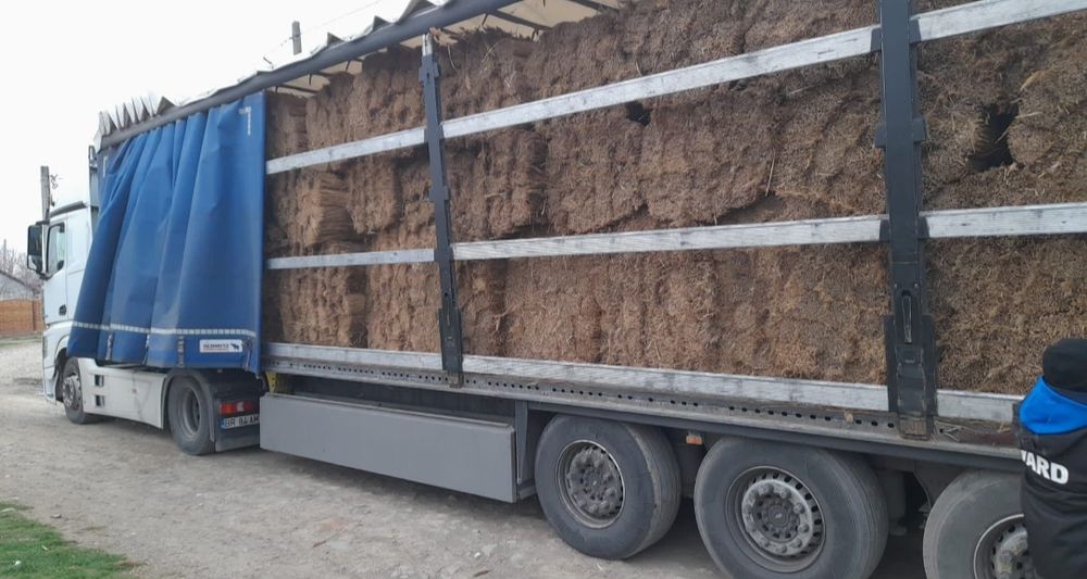 Amenajări zone turistice, STUF Nou 2024 TRESTIE, acoperiri cu stuf