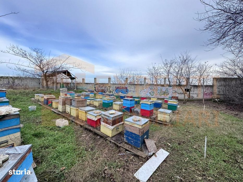 Teren intravilan Poarta 6 | 465 mp | Utilitati | Vedere port