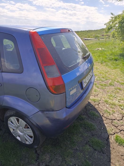 Vand Ford Fiesta