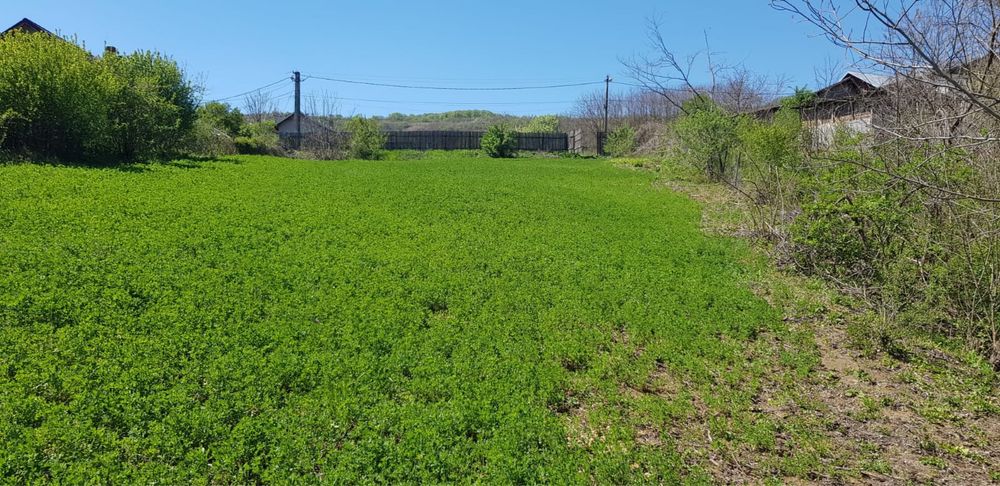 Teren Urlati 2000mp intravilan