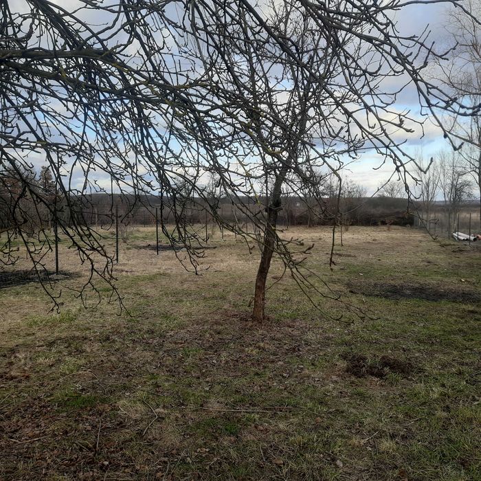 Teren intravilan in jud.Timis.