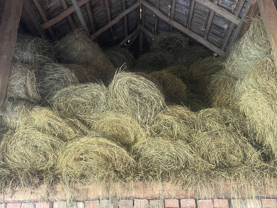 Vând baloți 70/50 cm