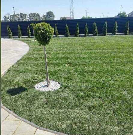 Gazon rulou sisteme de irigatii