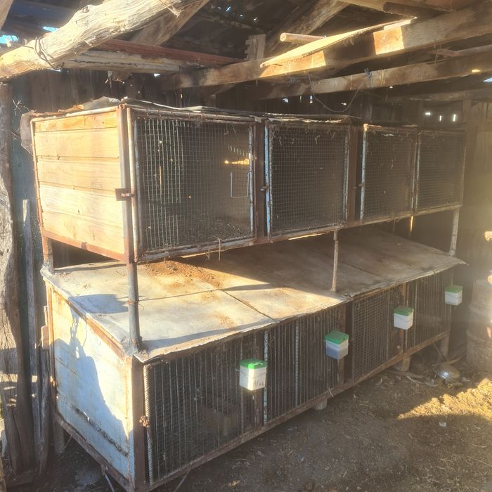 Coteț  iepuri din fier