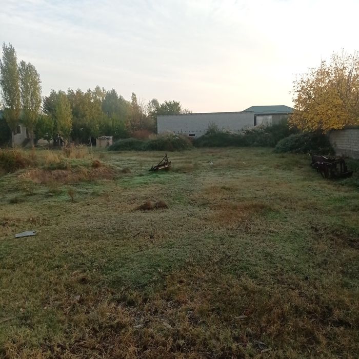 Уй чотилади 15 сотих