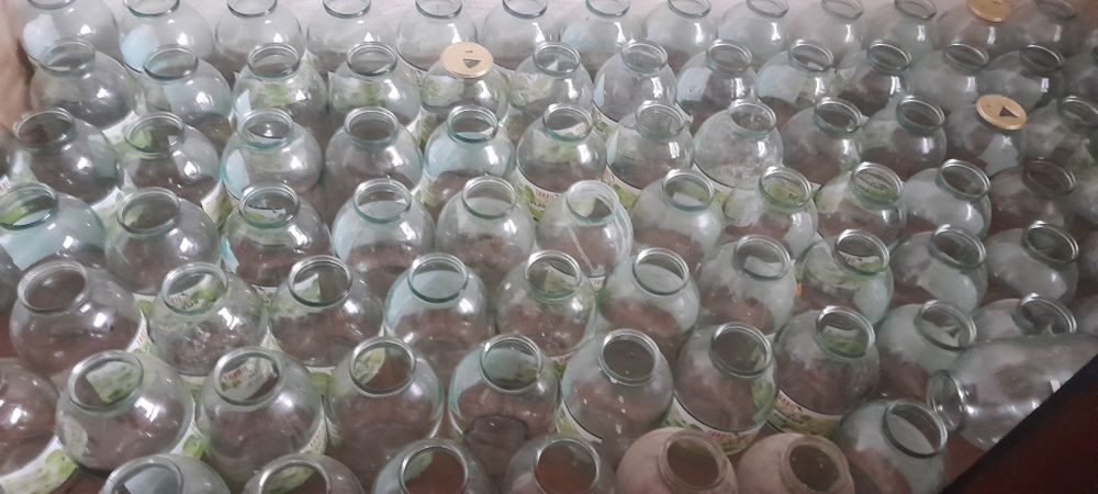 3 литрли банкалар сотилади