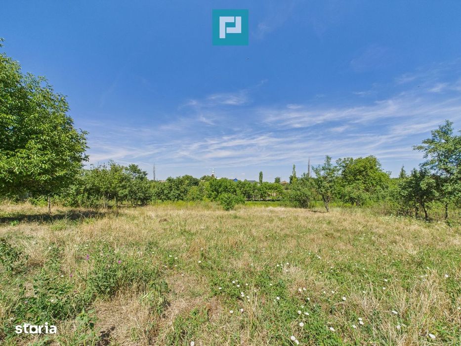 Teren 4919 mp– Comuna Călacea