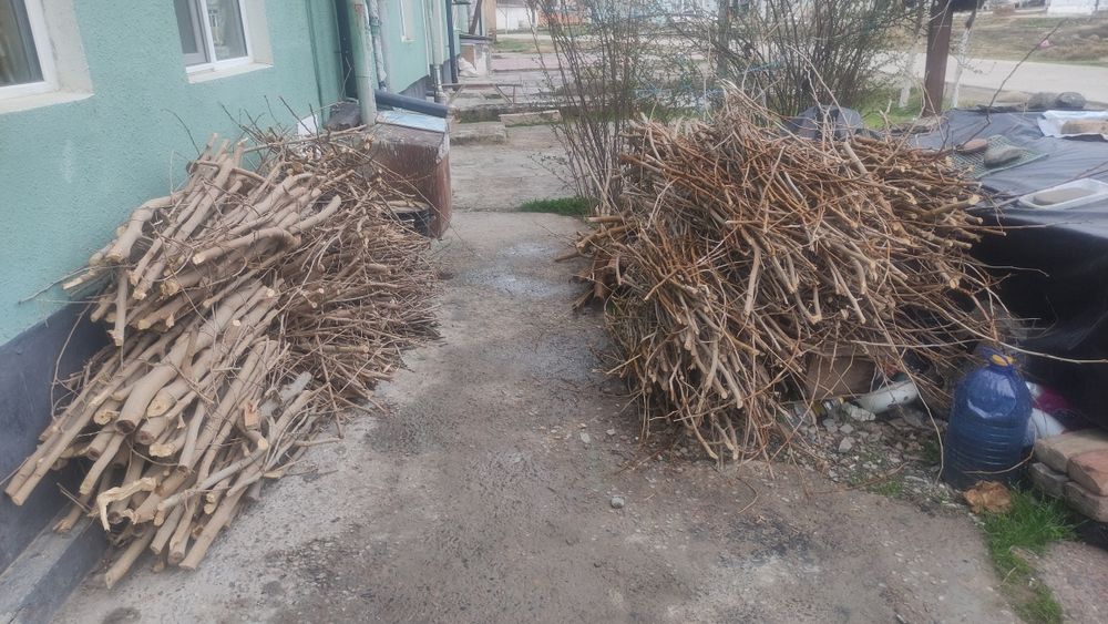 Продаются дрова тутового дерева