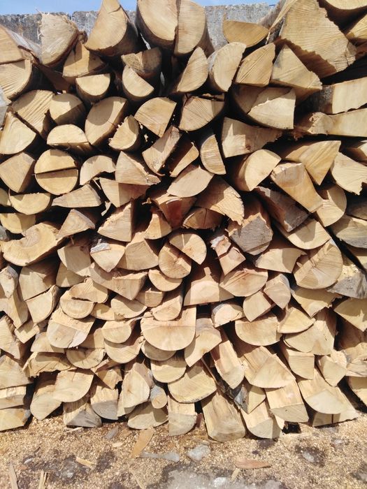 Lemne de fag Brașov