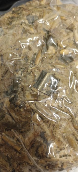 Силос кукурузный