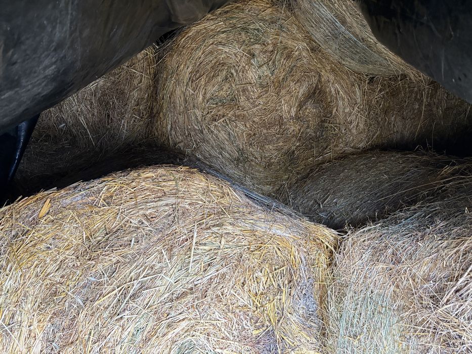 Baloti de fan, lucerna si coceni 120/120