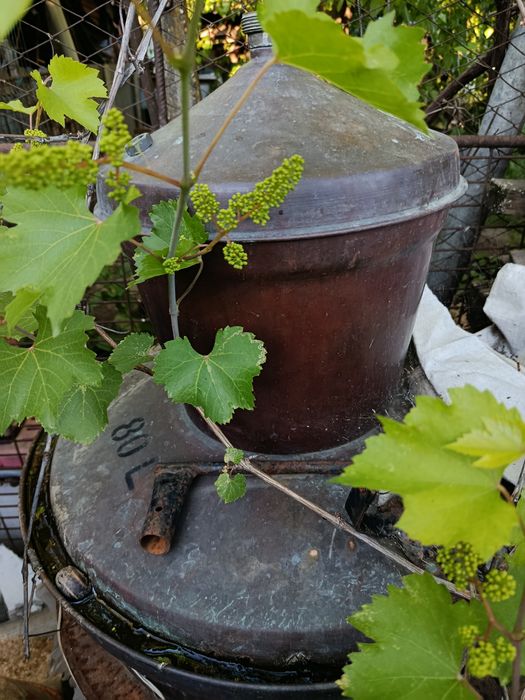 Cazan țuică 80 l din cupru, sistem complet