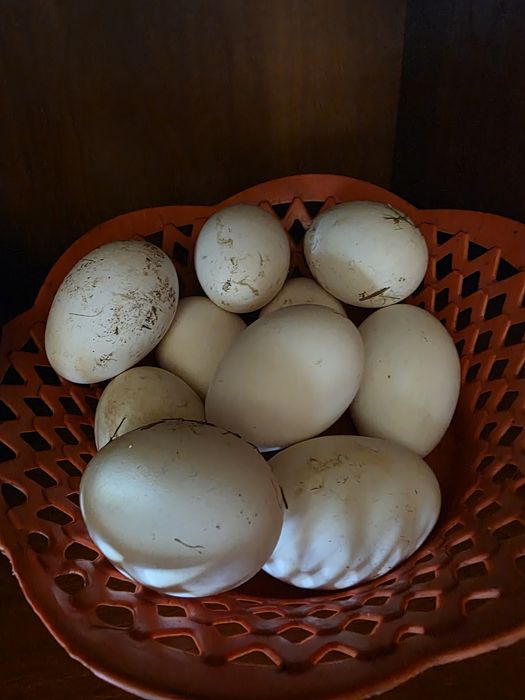 Сатылады продаётся