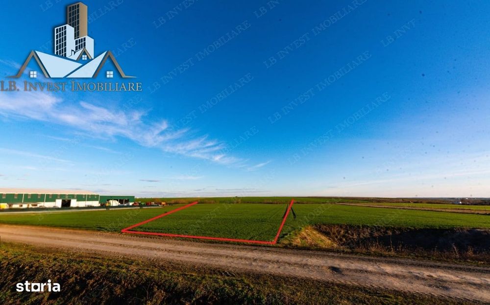 Teren Giarmata-PUG de locuinte- 100.000euro