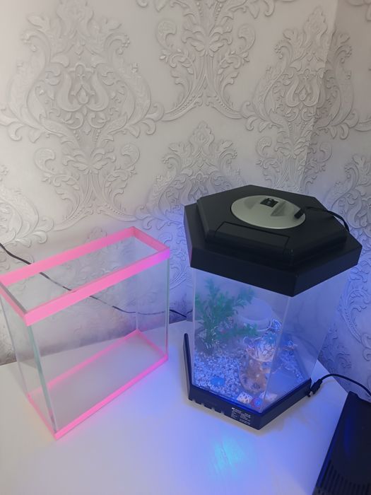 Аквариум для рыб