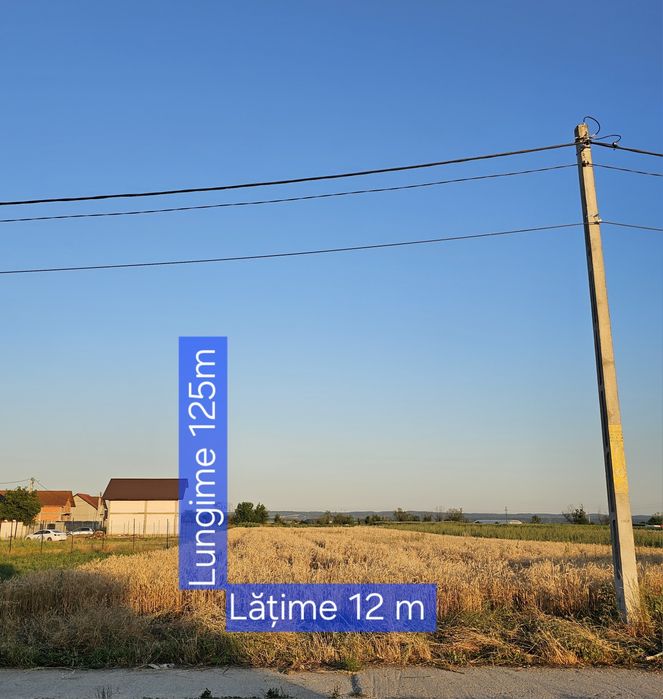 Teren de vânzare Bălești Gorj