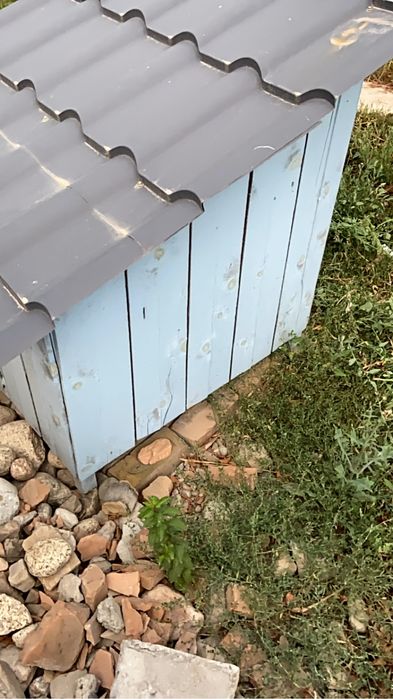 Домик для собак