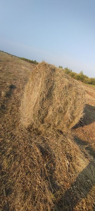 Продам сено в тюках