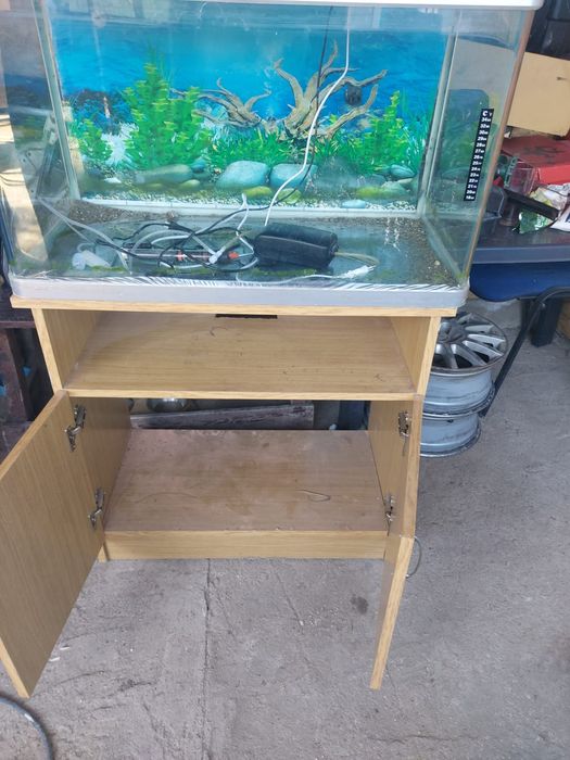 Acvariu 125L + accesorii + dulap lemn de vânzare 800lei