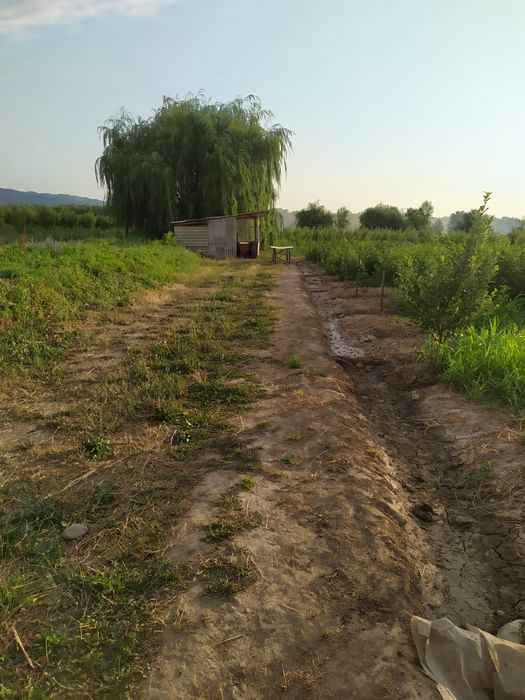 Продам Землю кха