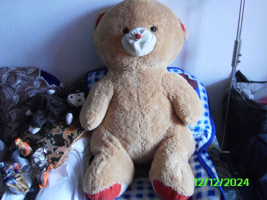 .redus capac Wc ,carucioare papusi multe plusuri mici si mari Jucarii