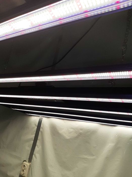 Lumak Zeus 600W PRO