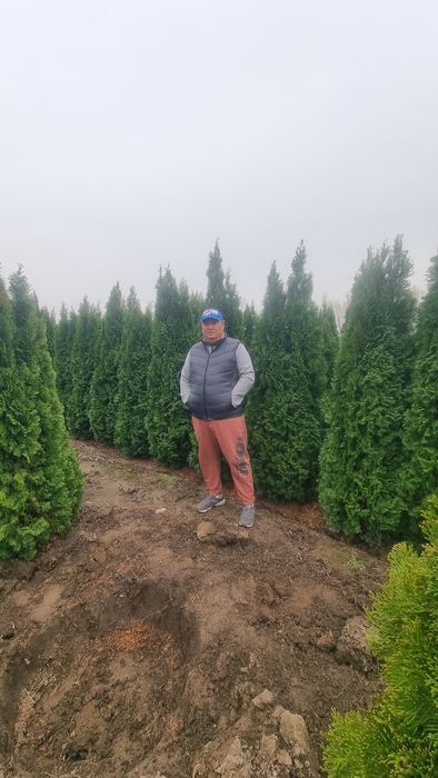 Ландшафтный дизайн