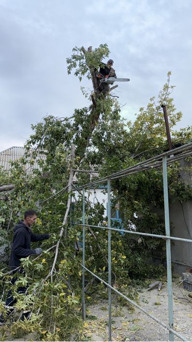 Покос травы спил деревьев