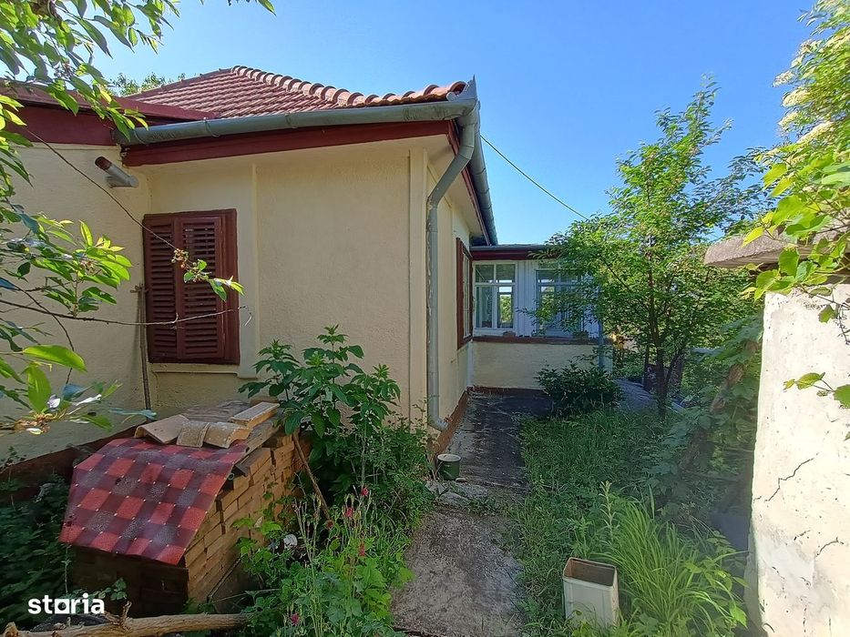 Vila din Gradina Racoți / Conac 5 camere / 6000m2
