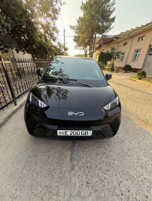 BYD Другая 2024
