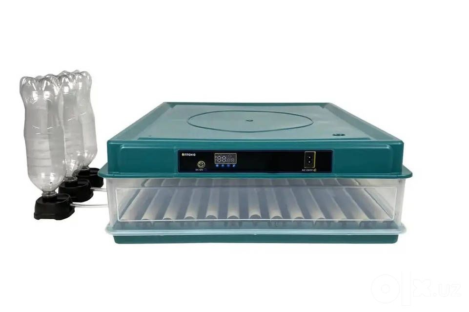 Inkubator 32 talik
