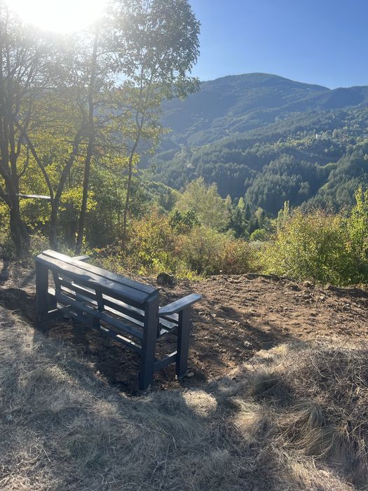 Поземлен имот с. Свидня