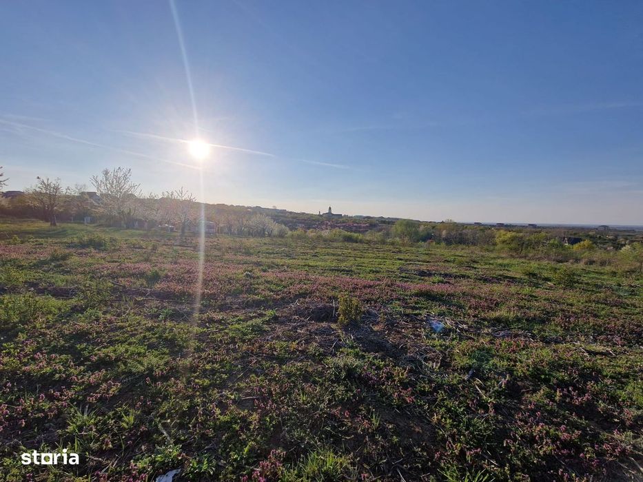 Teren Intravilan 3100 mp în Paleu, str. Verii   Dublu , PUZ cu HCL
