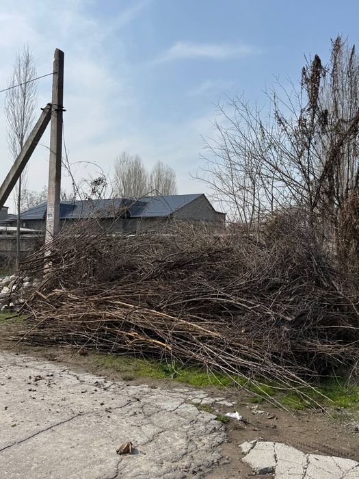 ТЕКИНГА утин бор  Срочно