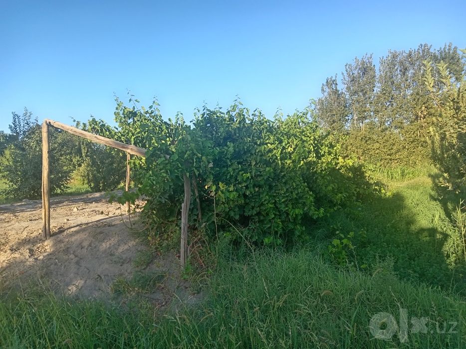 Uchaska sotiladi 10 sotiq