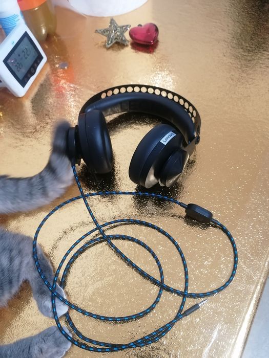 Căști Lenovo H 110 Microfon și fir jack 3,5