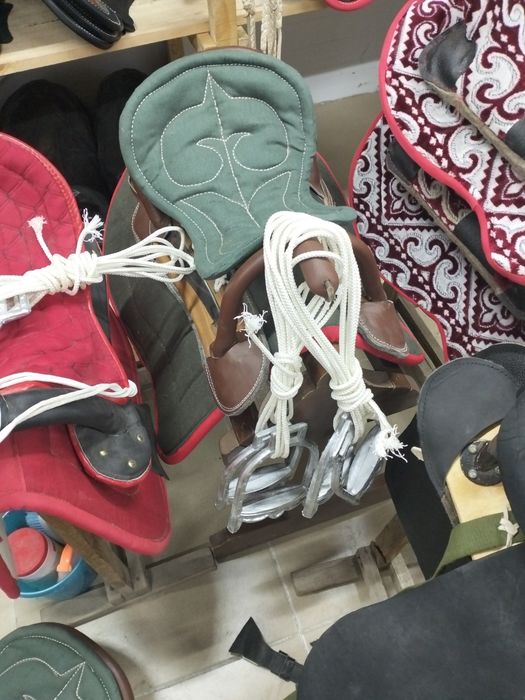 Ер токым Асау ер оригинал