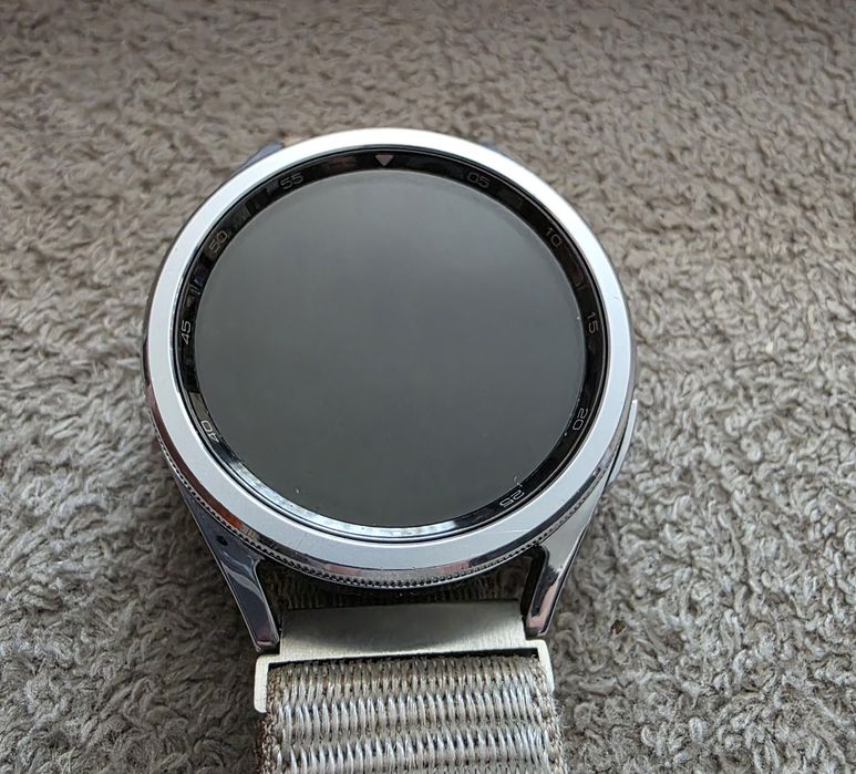 Samsung Galaxy Watch6 Classic 43mm Silver