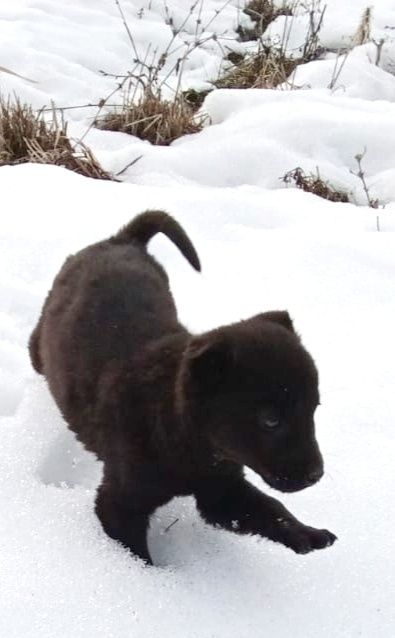 Помогите пожалуйста дом найти