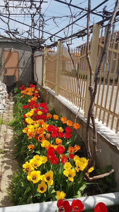 Дава се под наем Къща в с. Гара Елин Пелин, Област София-област - 75 кв.м за 765 € - Снимка #1