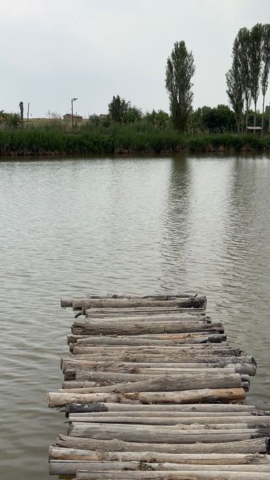 Открыт сезон рыбалки, эко сазан, топчан.