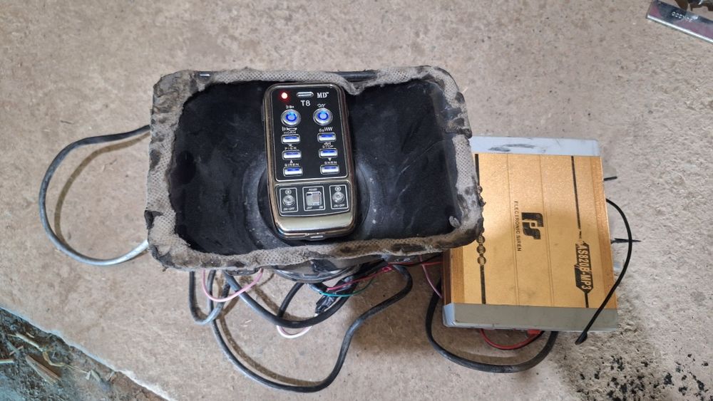 Serena arginal kanelada zoʻr chiqaradi