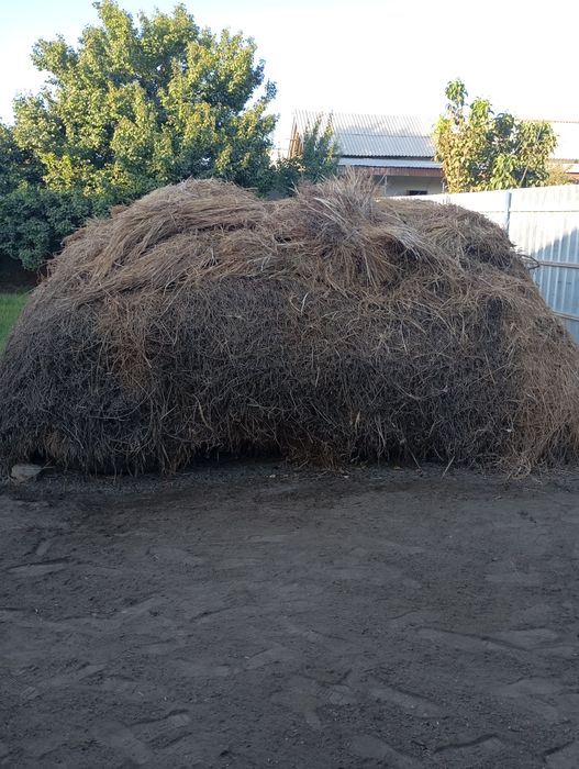 Беда ути Гарам сотилади