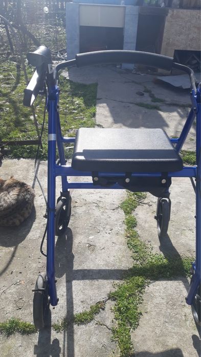 Carut 4 roti  dizabilitati