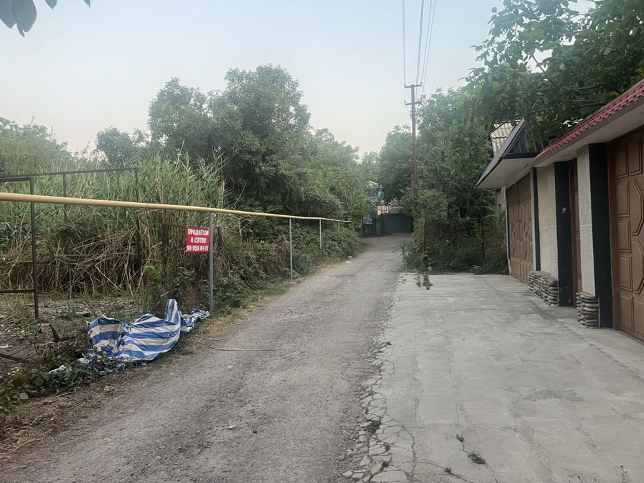 Dala xo’vli Qibray