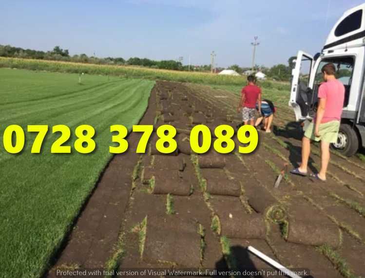 Gazon / Insamantare / Rulouri de Gazon