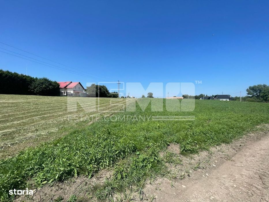 Teren Intravilan 2.000 mp – Ideal pentru Construcție sau Investiție