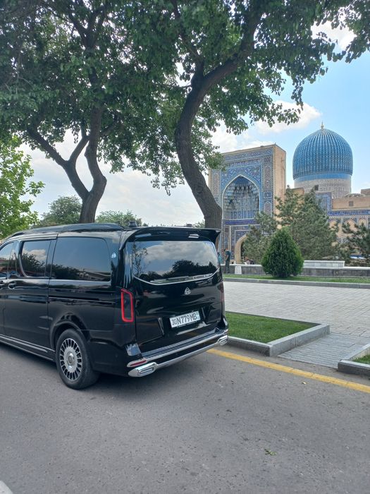 Mersades vito w447