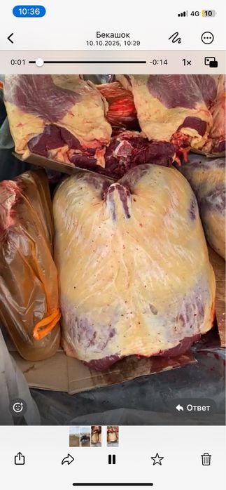 Семіз жабағылар сатылады