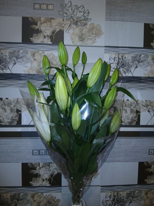 Продам          цветы